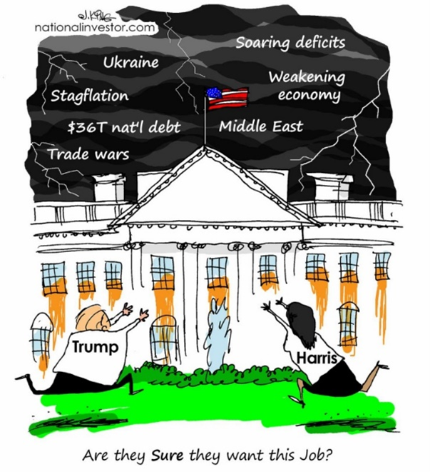 A graph showing the growth of the stock market Description automatically generated